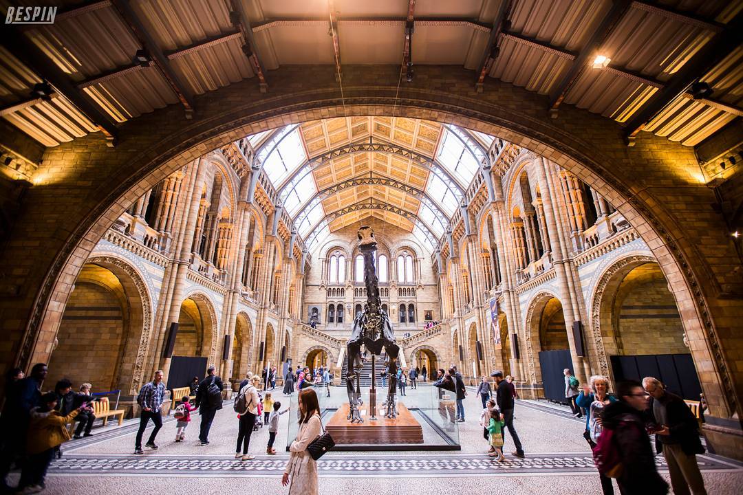 free museums in london natural history museum @bielbespin